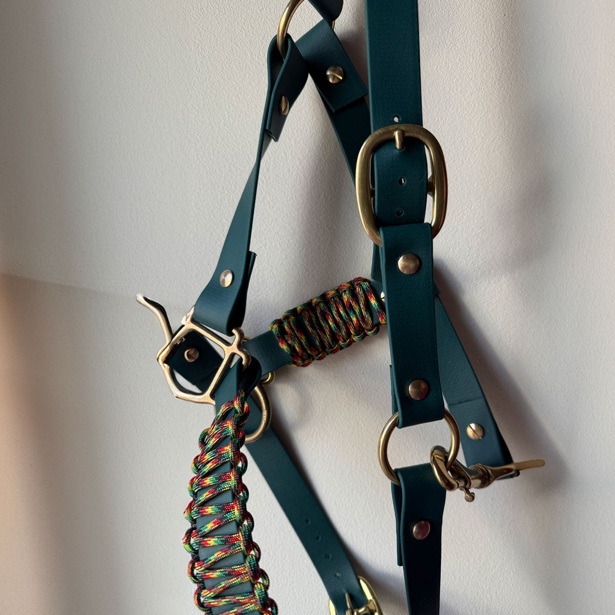 Dettaglio minuteria in ottone che non si rrugginisce, capezza in biothane verde di Orme Differenti