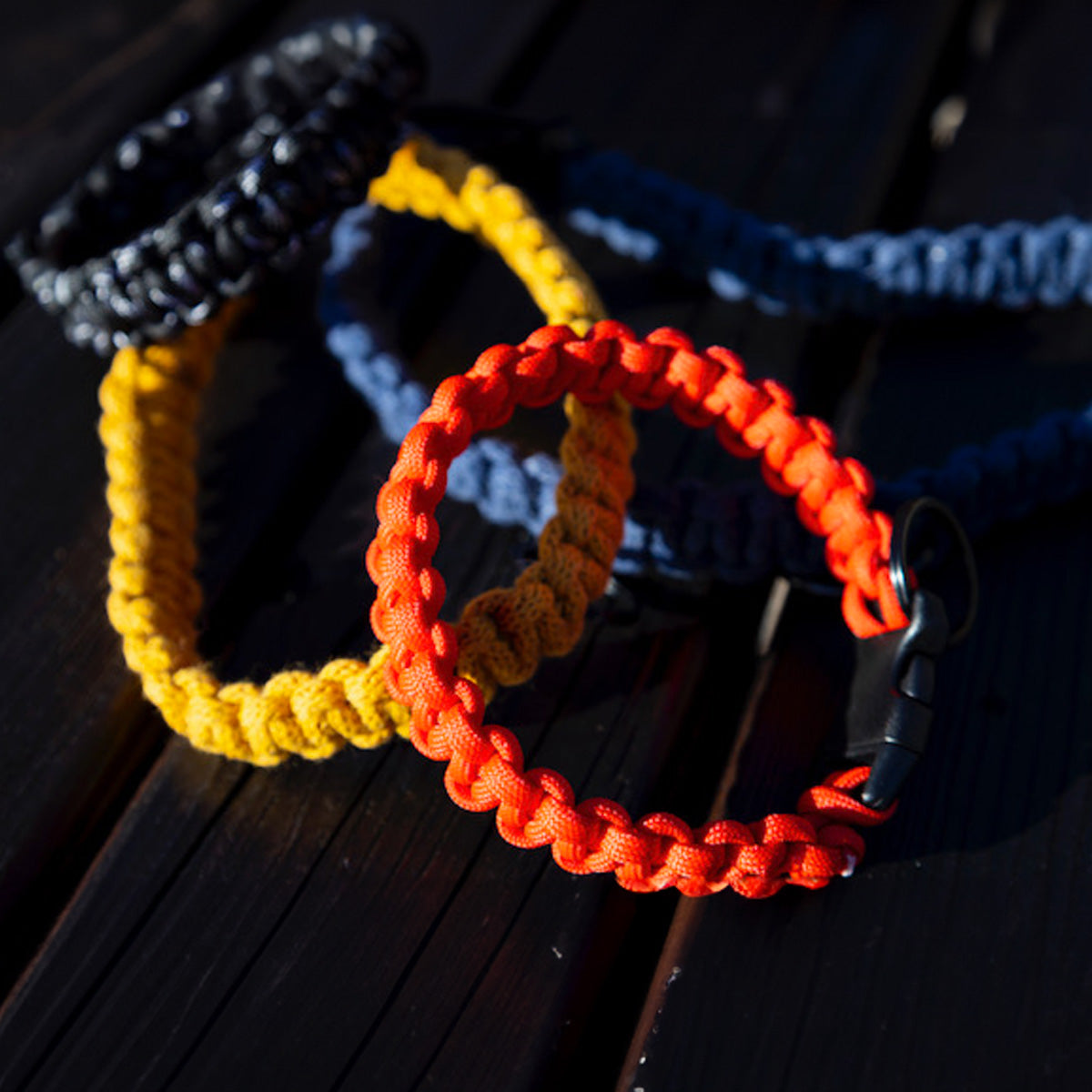 Collare cani piccola taglia in paracord vari colori, chiusura nera - Orme Differenti