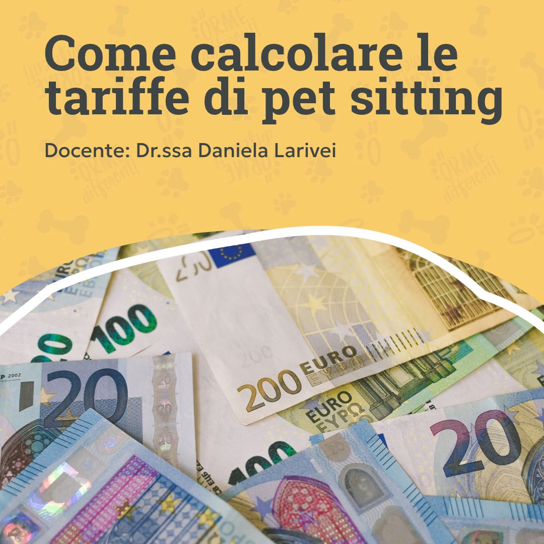 come calcolare le tariffe di pet sitting, euro, orme differenti