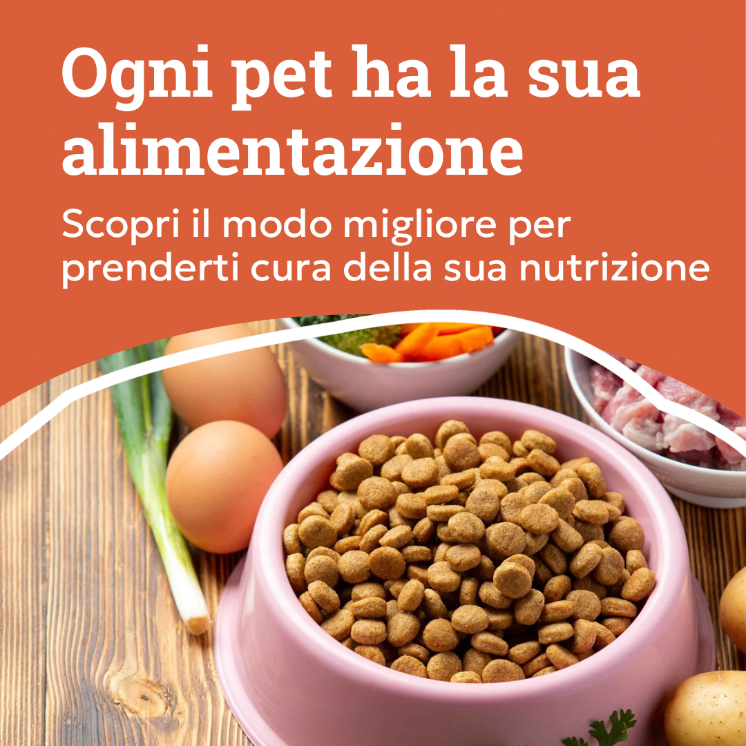 consulenza alimentare personalizzata per cane e gatto, ciotola di crocchette, orme differenti