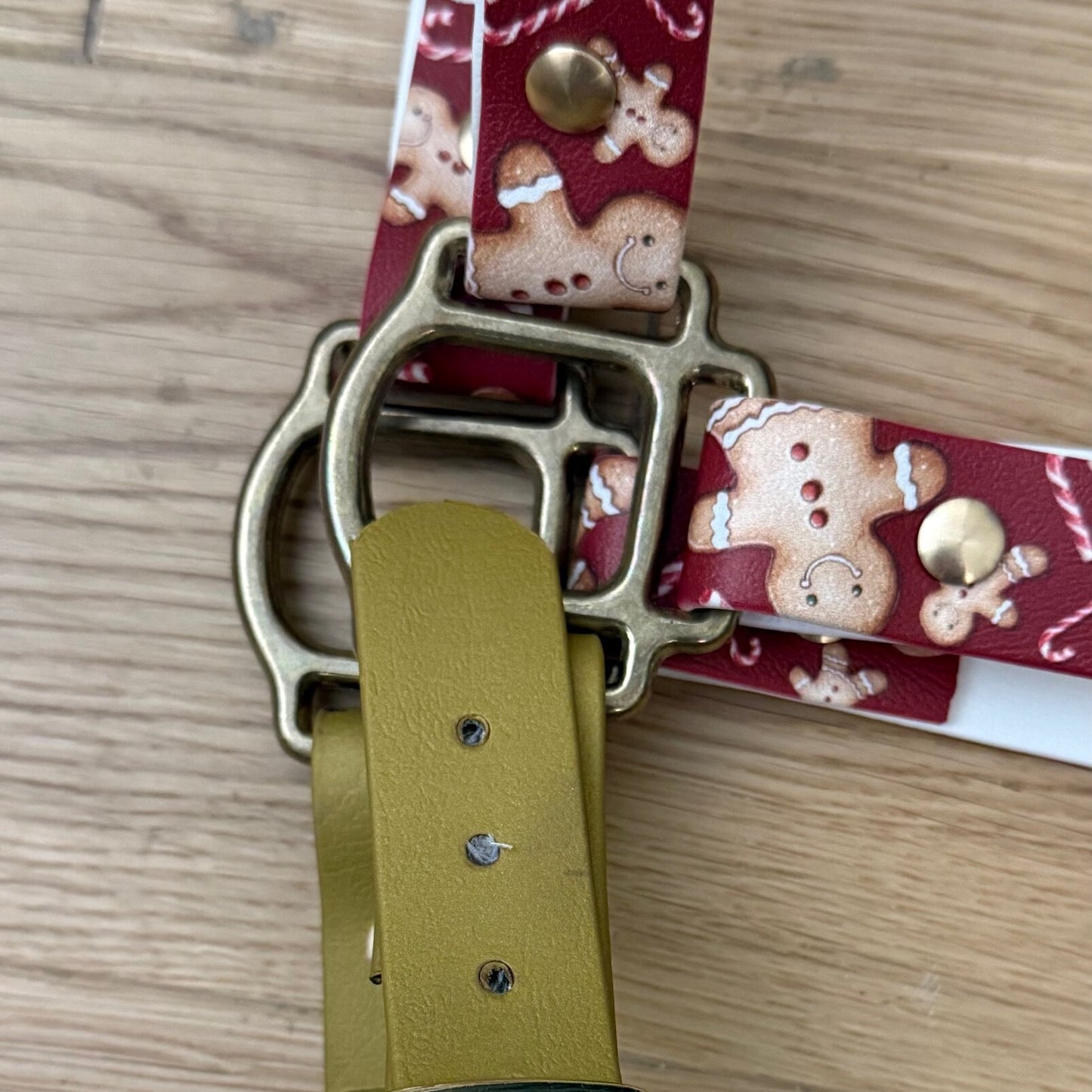 dettaglio minuteria capezza per doppio pony, biothane, resistente di Orme Differenti