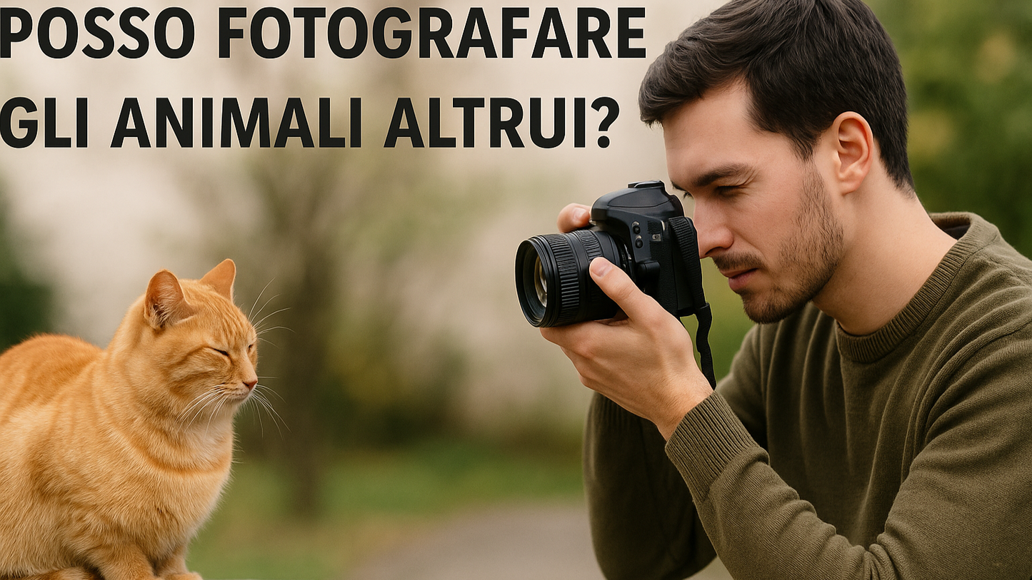 si possono fotografare gli animali altrui, cosa dice la legge, diritti e tutele, orme differenti