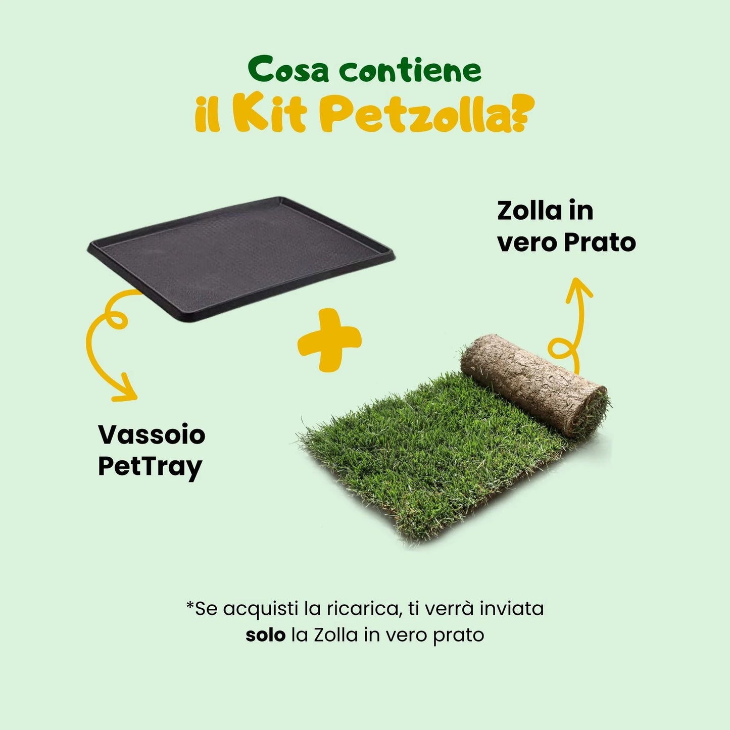 Giardino per conigli e roditori, zolla atossica vero prato con vassoio di Petzolla distribuita da Orme Differenti