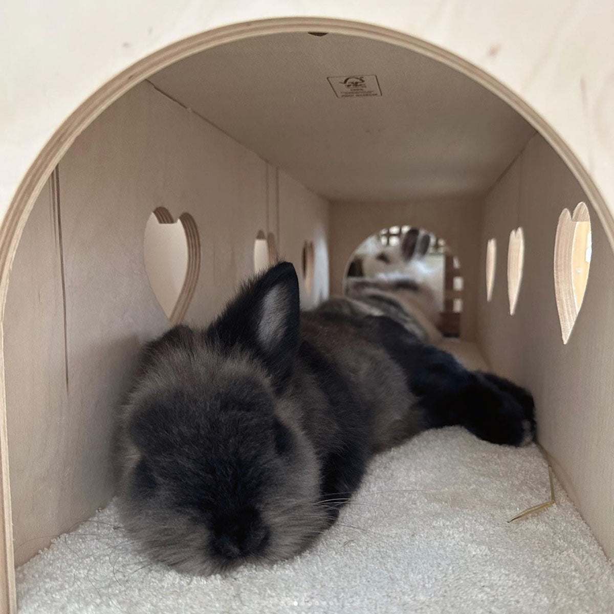Tunnel in legno per conigli, fotografato con dentro un coniglio nero che dorme, marchio 515grammi - Orme Differenti