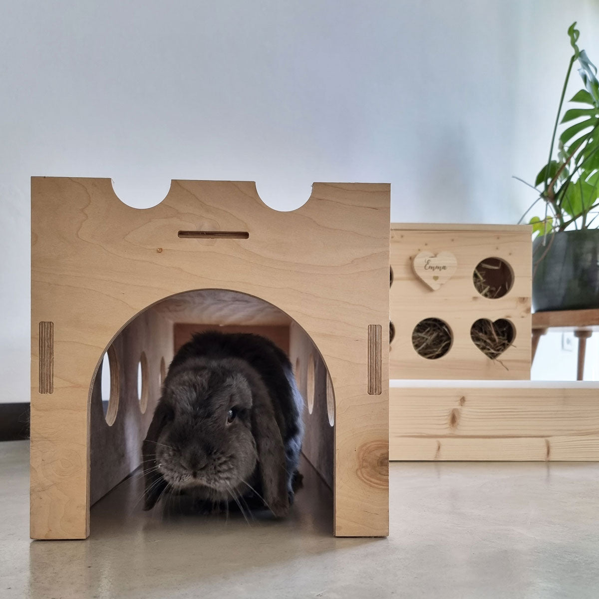 Tunnel per conigli in legno a marchio 515grammi con dentro un coniglio nero, distribuito da Orme Differenti