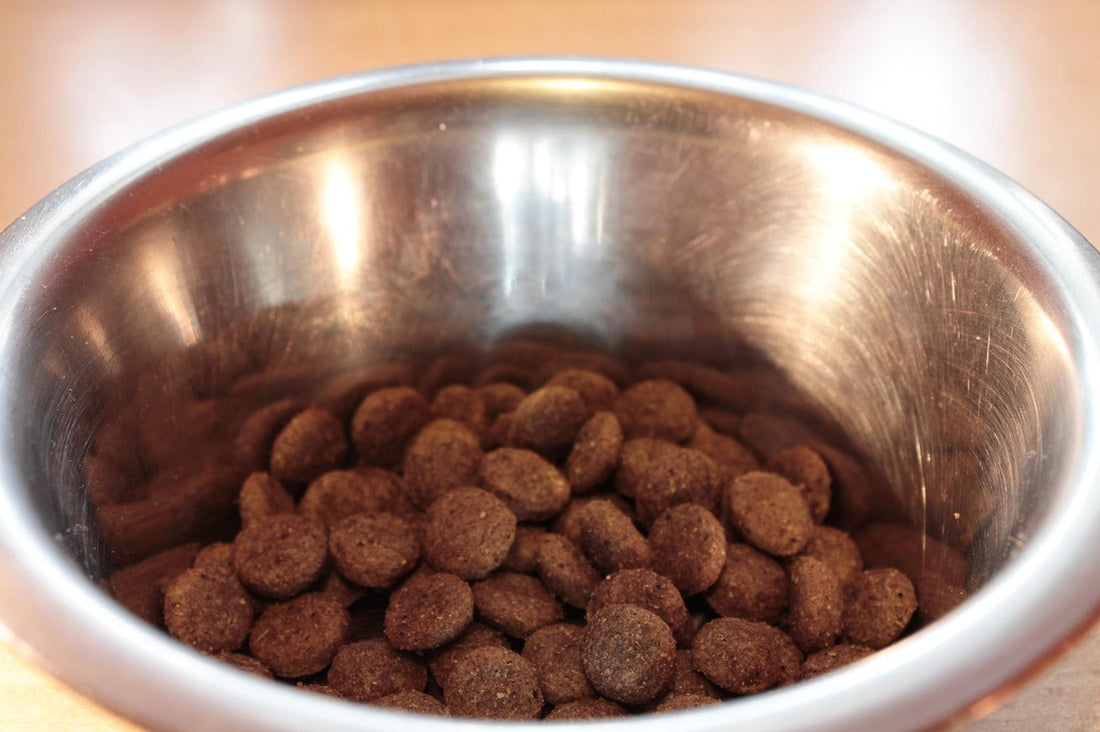 crocchette pressate a freddo o estruse per il cane, orme differenti