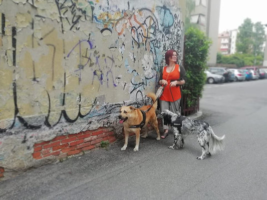 albo dei dog sitter piemonte, donna con due cani a passeggio, Orme Differenti