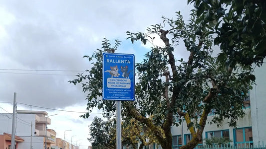 cartelli stradali per tutelare i gatti, salice salentino, orme differenti