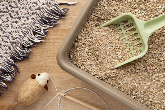 come deve essere la lettiera del gatto, lettiera con paletta verde, Orme Differenti