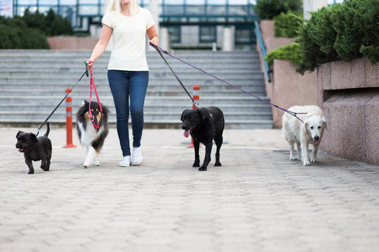 come scegliere il pet sitter giusto, donna per strada con quattro cani al guinzaglio, Orme Differenti