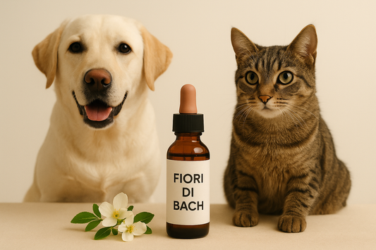 fiori di bach per cani e gatti, benefici, uso, dove trovarli, orme differenti