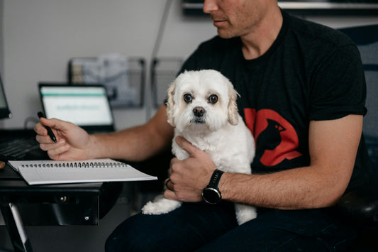 il cane ha la dermatite, veterinario con cane bianco, orme differenti