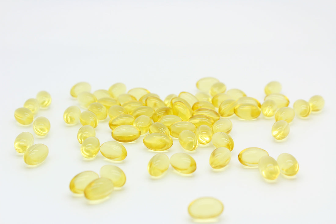 perché dare gli omega 3 agli animali, punto di rotta