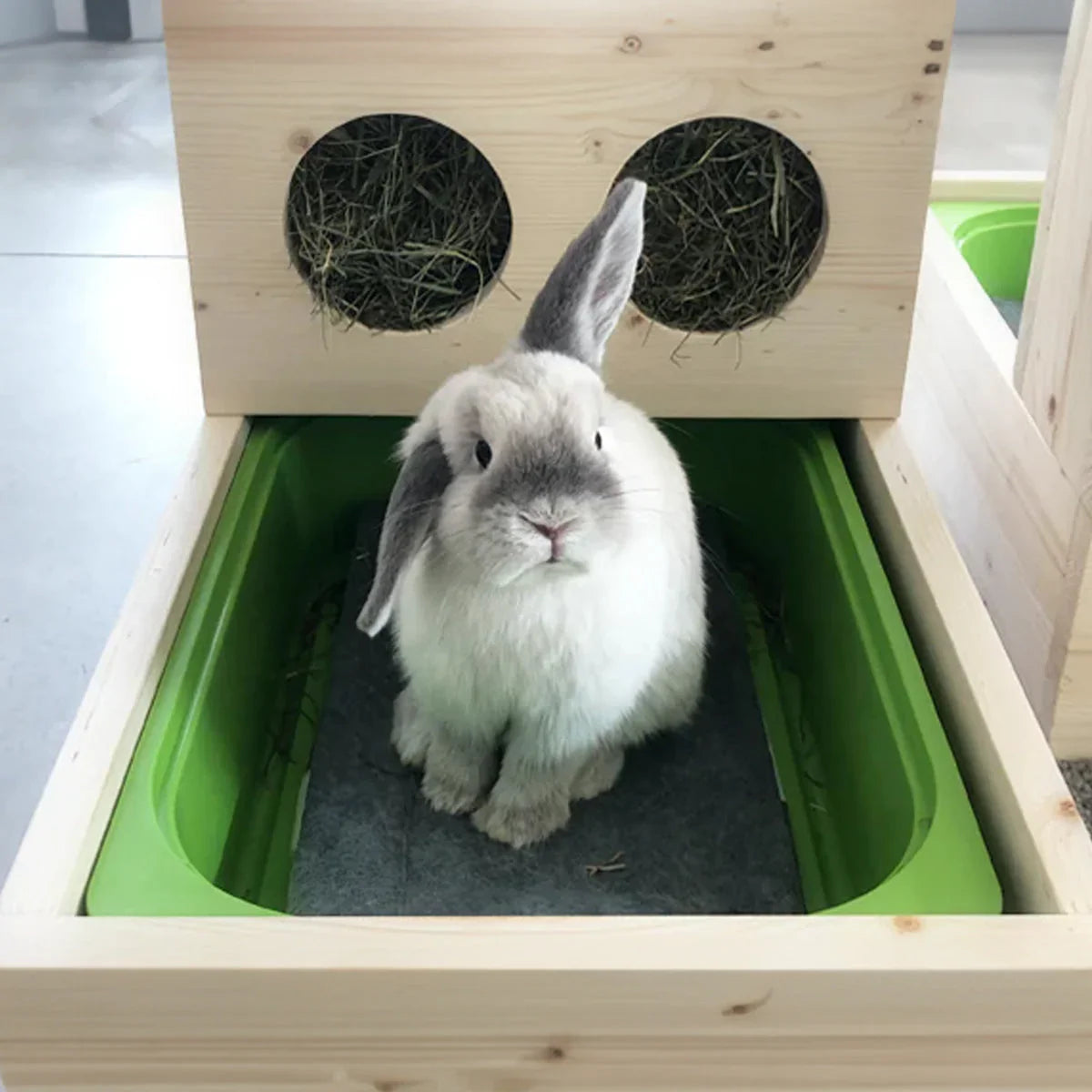 515 grammi, prodotti per conigli sostenibili, distribuiti da orme differenti