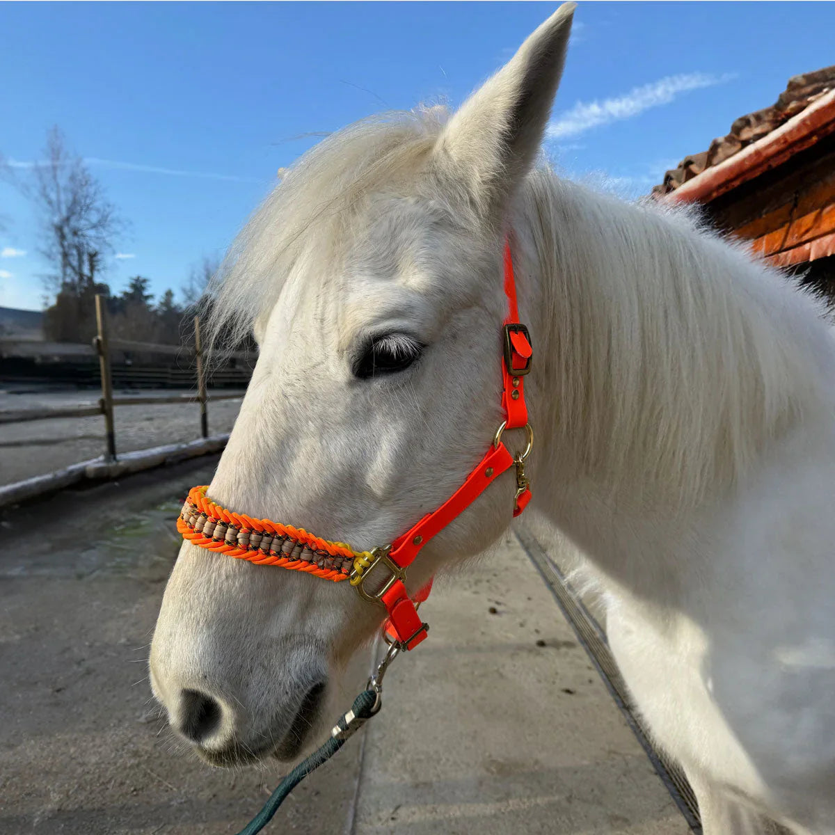 Capezze per cavalli in biothane e paracord, realizzate a mano da Daniela Larivei, orme differenti
