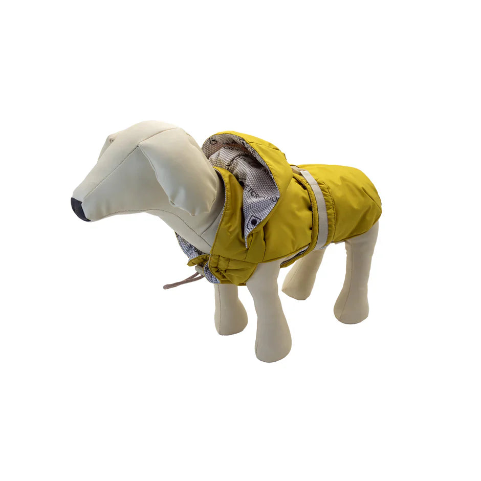 pet creation marchio distribuito da orme differenti, in foto cappottino giallo su cane