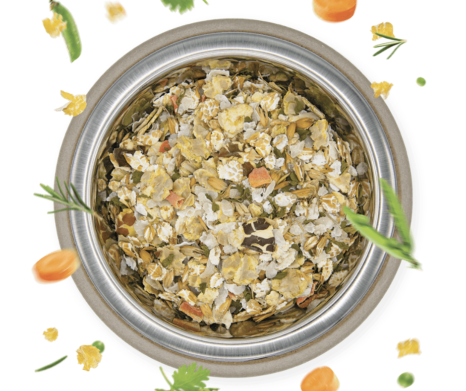 diet flakes herbs 2g, cibo fioccato con rosmarino e prezzemolo, ciotola, dietetico e depurativo, di Gianni Guidolin by Orme Differenti