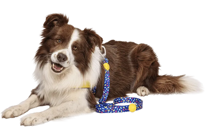Guinzaglio per cani Color Invaders Regular, con gommino morbido proteggi cuciture, di Morso distribuito da Orme DIfferenti
