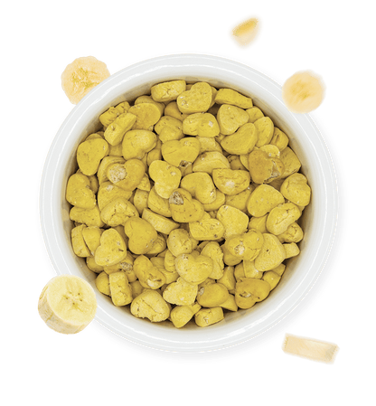 banana cookies flakes 2G, biscotti cani, gianni guidolin by orme differenti, confezione da 350gr, ciotola