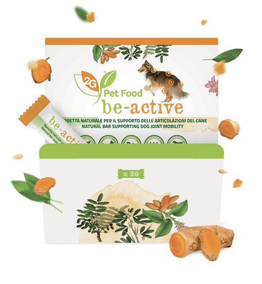 Be Natural Be Active, barretta per cani, per muscoli e articolazioni, di Gianni Guidolin distribuito da Orme Differenti
