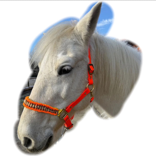 Capezza per cavallo di colore arancione realizzata completamente a mano in biothane e paracord, regolabile, a marchio Orme Differenti