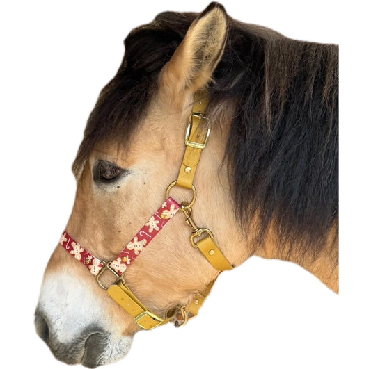 Capezza per doppio Pony in biothane, marrone e rossa, con biscotti Pan di Zenzero, robusta e resistente di Orme Differenti