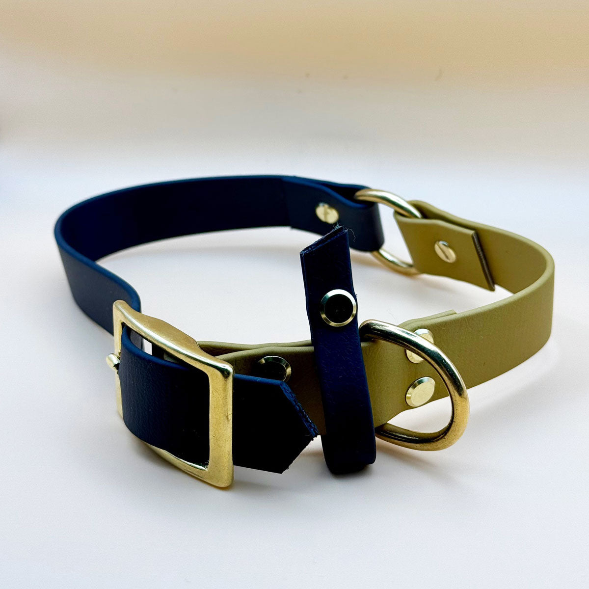 Collare per cani di taglia media, in due colori, nero e marrone, in Biothane - Orme Differenti