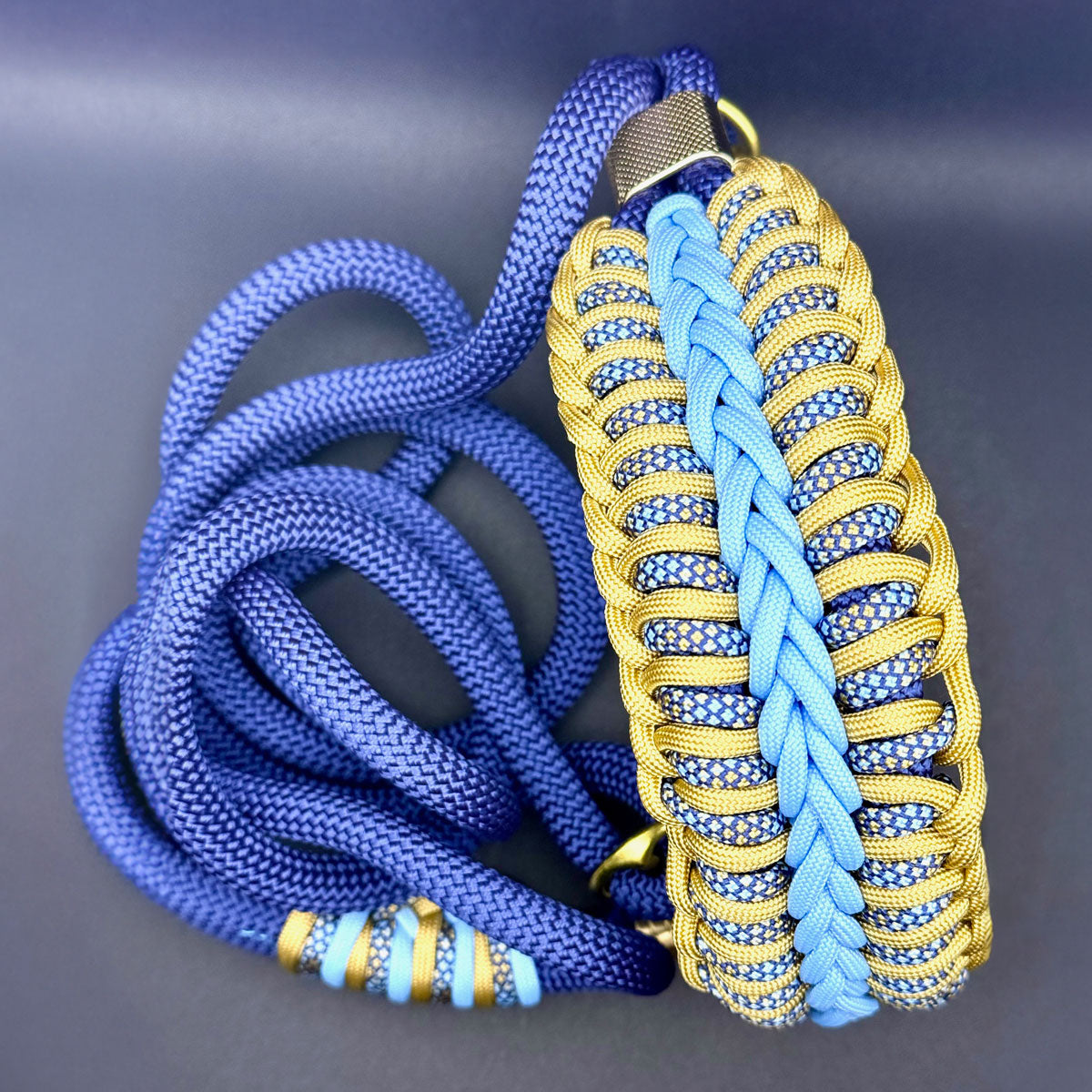 Collara connesso con il guinzaglio per cani di taglia media in Paracord blu, fotografati dall'alto - Orme Differenti
