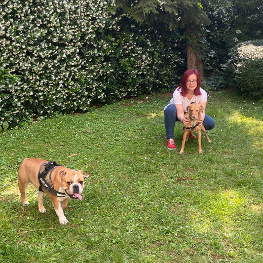Consulenza scelta dell'animale, daniela larivei con cane meticcio e bulldog, Orme Differenti