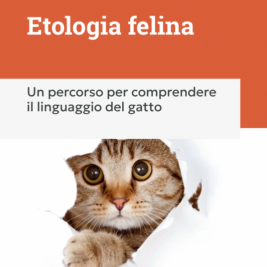 consulenza di etologia felina, muso gatto, orme differenti