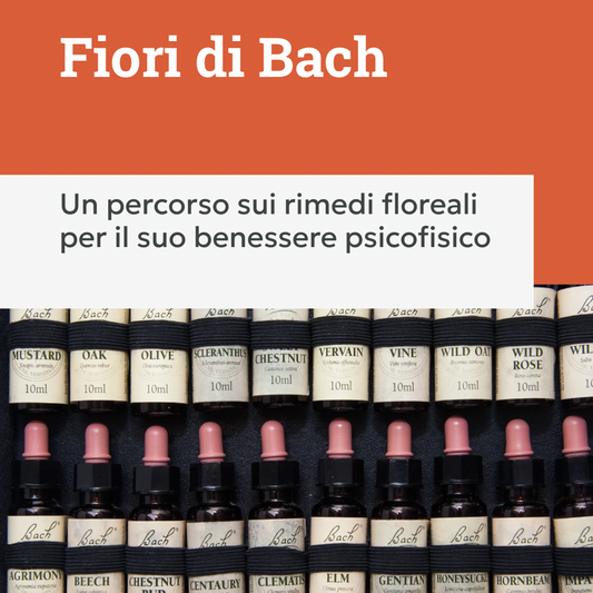 consulenza fiori di bach per animali, fiori di bach, orme differenti