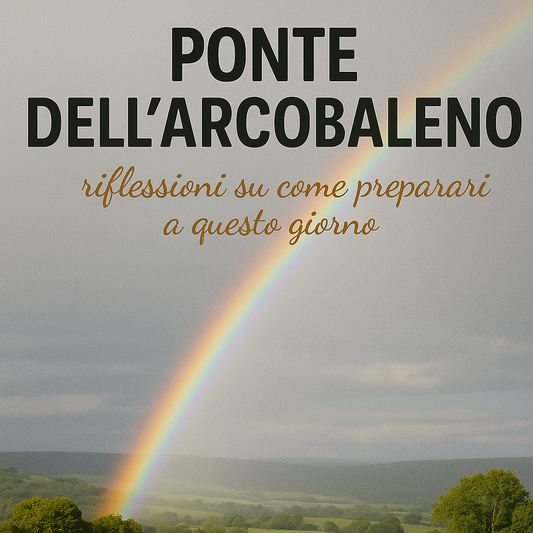 Frame corso accompagnamento al fine vita degli animali, ponte dell'arcobaleno, Orme Differenti