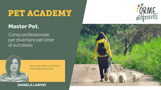 Cover corso master pet on line per diventare pet sitter professionisti