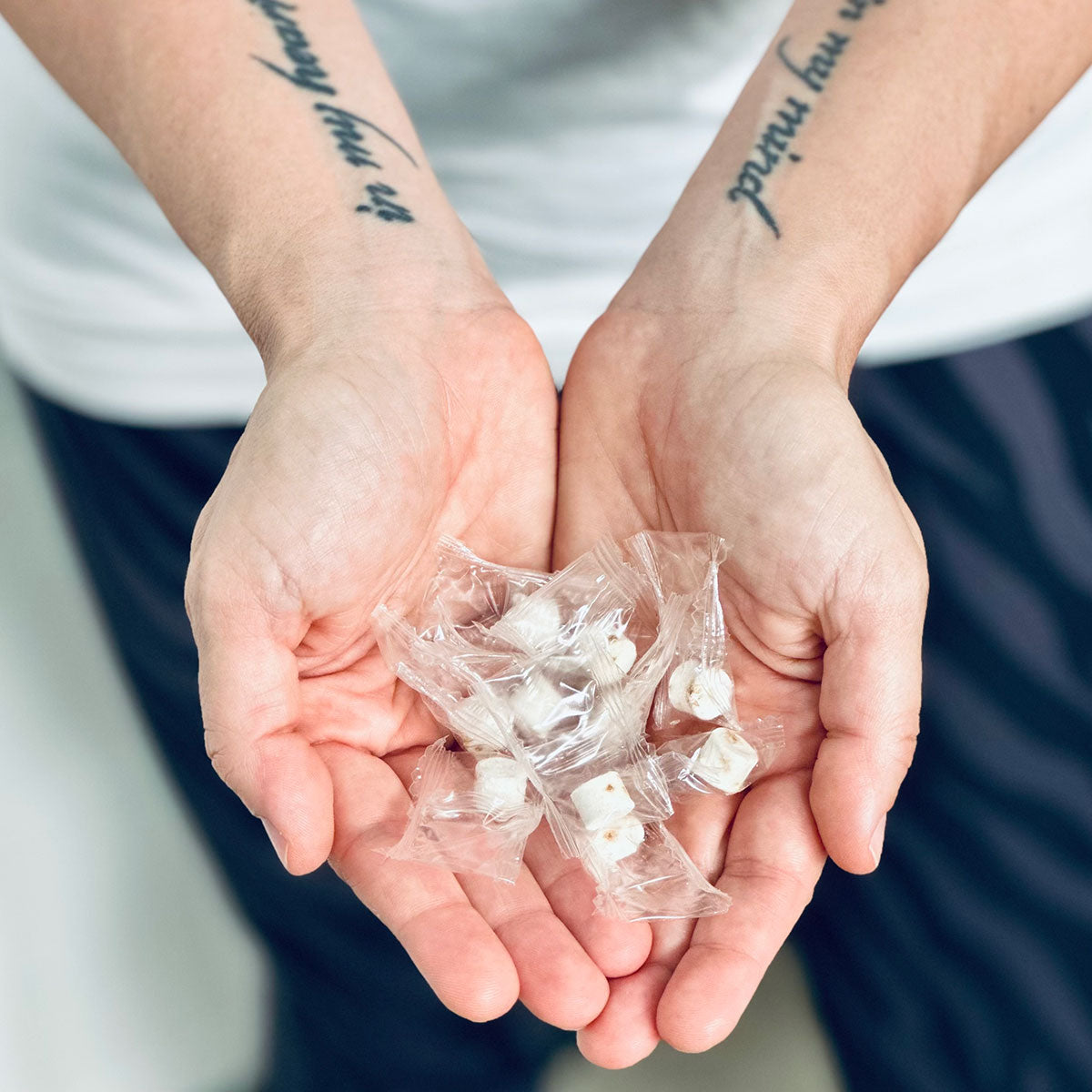 Detergente solido probiotico in pastiglie idrosolubili per superfici e tessuti lavabili, marchio 515 grammi, immagine delle pastiglie fuori dalla confezione, distribuito da Orme Differenti