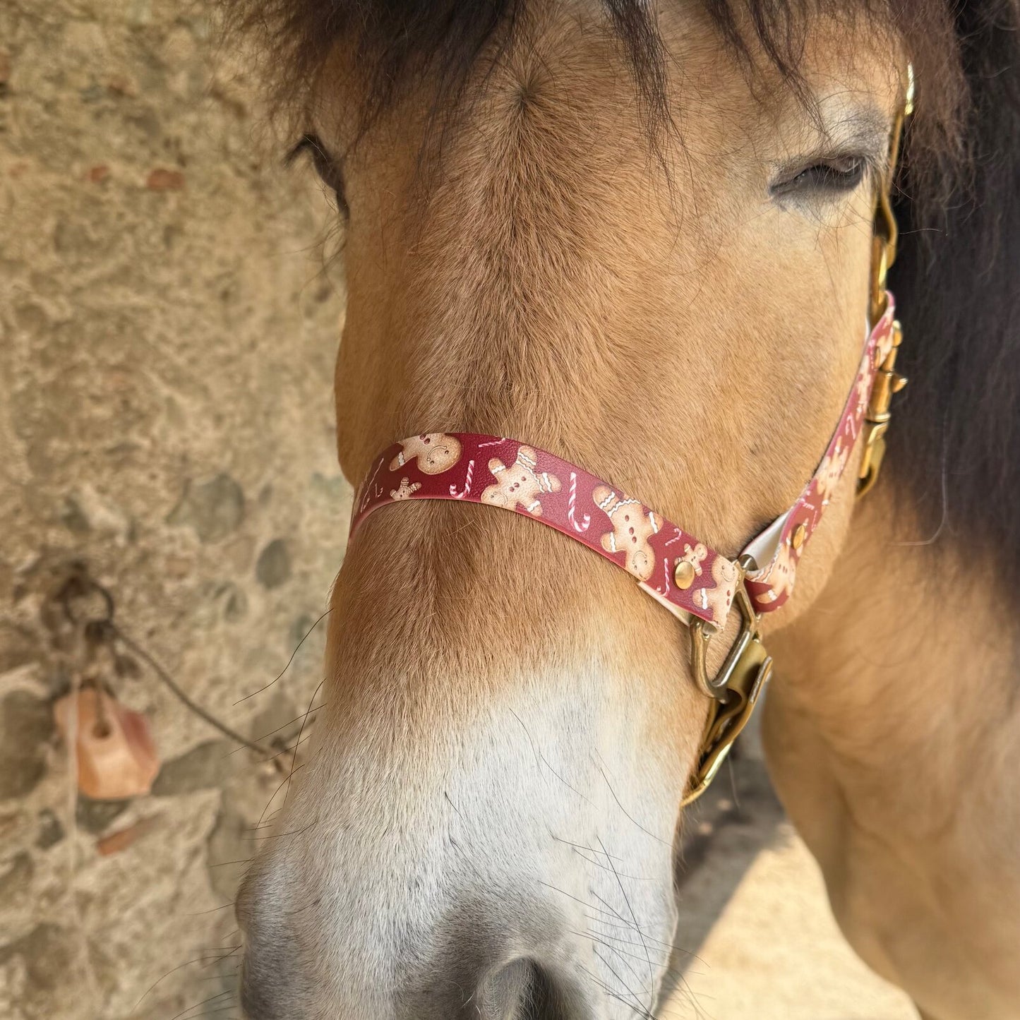 Dettaglio capezza per doppio Pony in biothane, marrone e rossa, con biscotti Pan di Zenzero, lavabile e resistente di Orme Differenti
