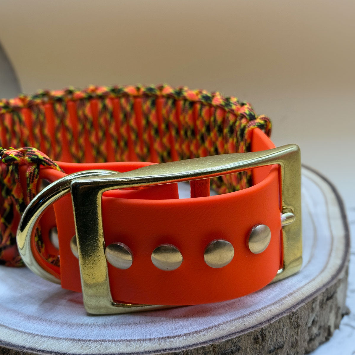 Collare per cane personalizzabile, dettaglio fibbia acciaio color oro, anello, lavabile di Orme Differenti