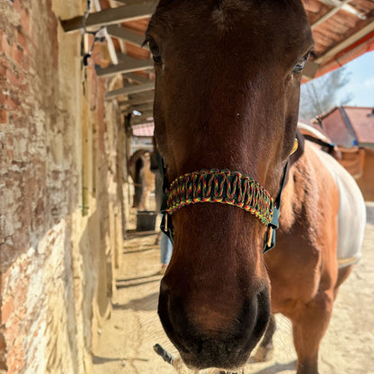 Dettaglio muso in paracord, capezza in biothane per cavallo, indossata, lavabile e personalizzabile, a marchio Orme Differenti