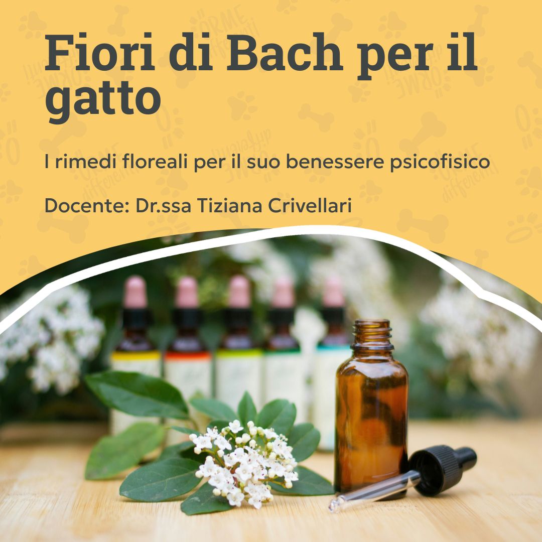 corso fiori di bach per il gatto, rimedi floreali, bottigliette, orme differenti