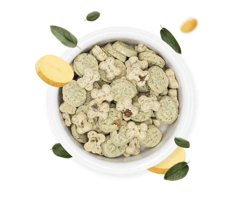 Gourmet Cookies Herbs con Patata e Salvia, squisiti biscotti artigianali per cani, made in Italy, di Gianni Guidoliin by Orme Differenti