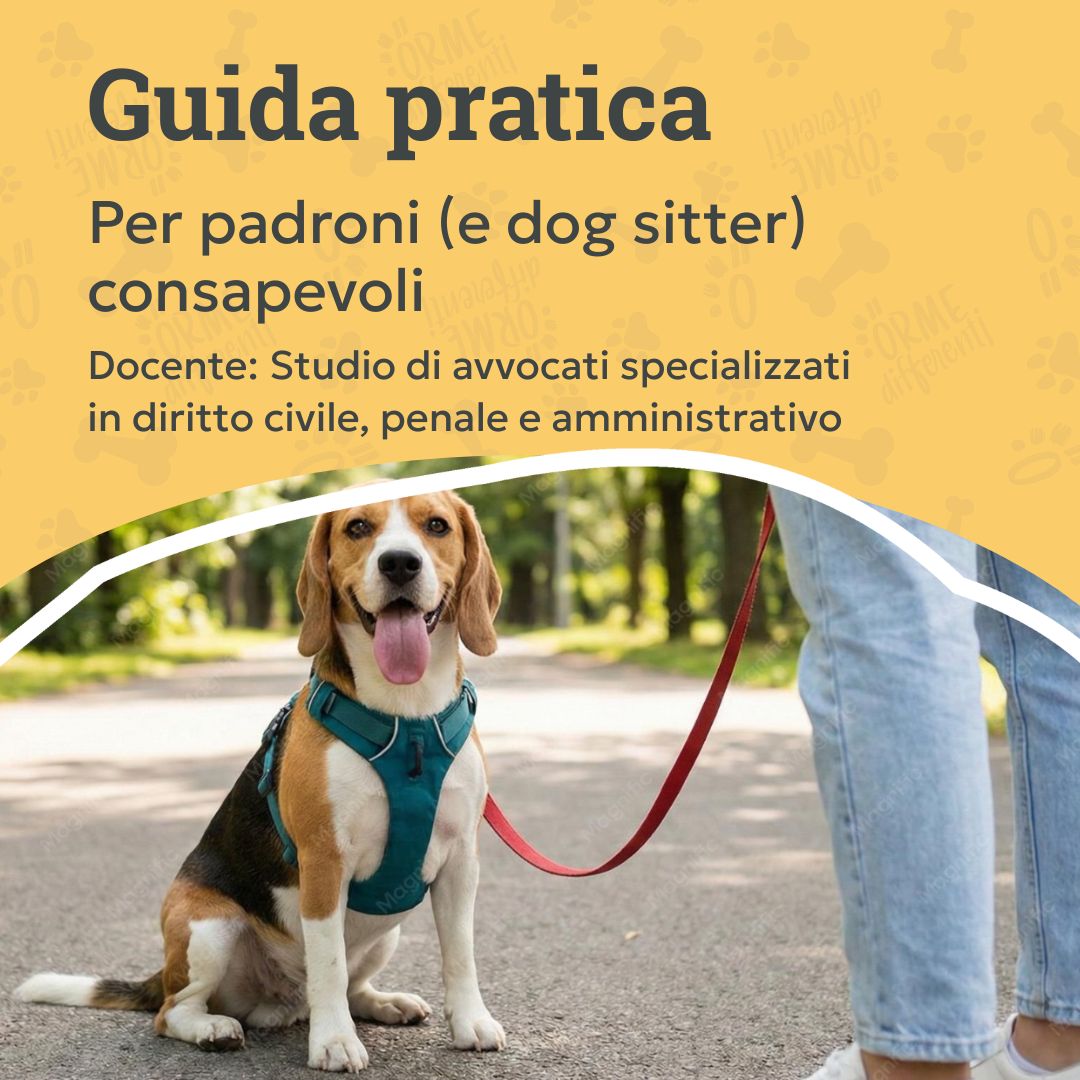 guida pratica per padroni e dog sitter consapevoli, cane beagle al guinzaglio, orme differenti
