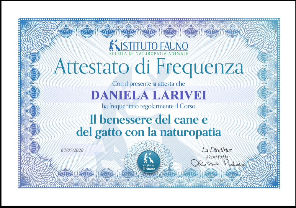 corso dog sitter, attestato sul benessere del cane e del gatto in naturopatia, orme differenti