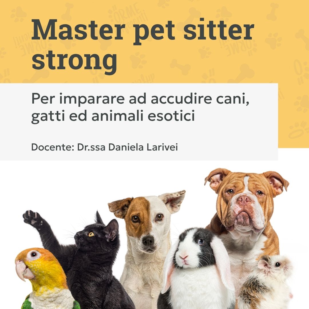 master pet sitter strong, accudimento cani, gatti e animali esotici, corso pet sitter, cani, gatti, conigli, criceti , uccelli, orme differenti