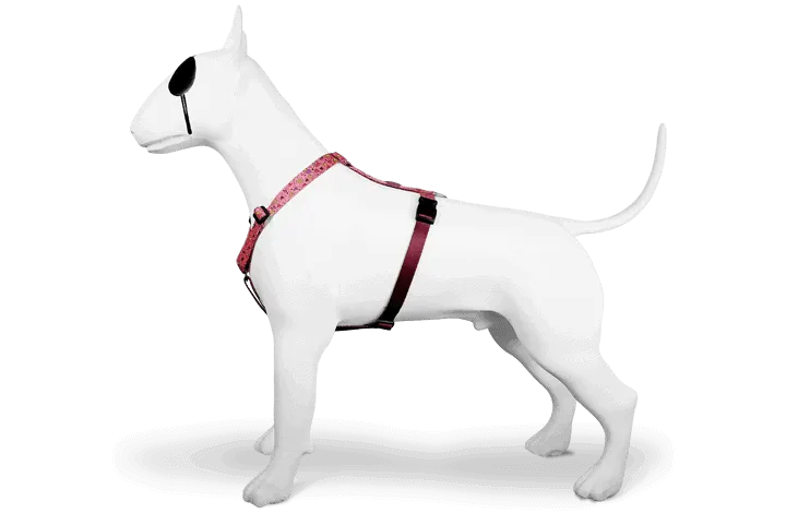 Pettorina ad H Pink Think per cani, comoda e confortevole, artigianale,  made in Italy di Morso by Orme DIfferenti