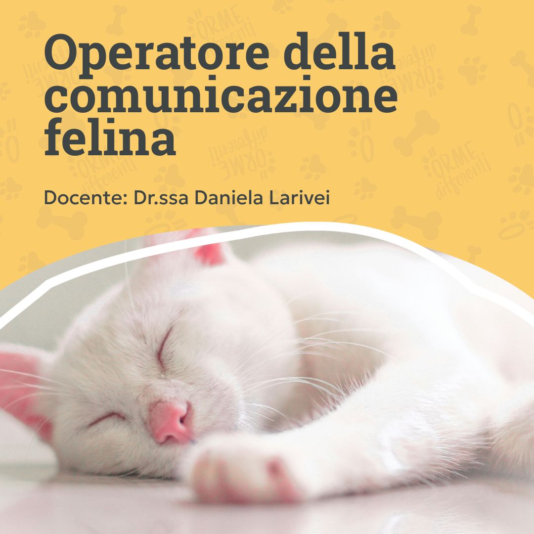 corso operatore della comunicazione felina, gatto bianco, orme differenti