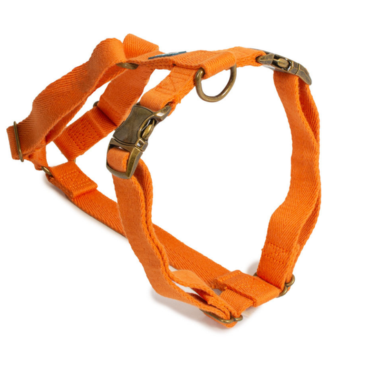 Pettorina regolabile per cani eco-friendly in fibra di soia e cotone riciclato, ad H di Farm Company distribuita da Orme Differenti