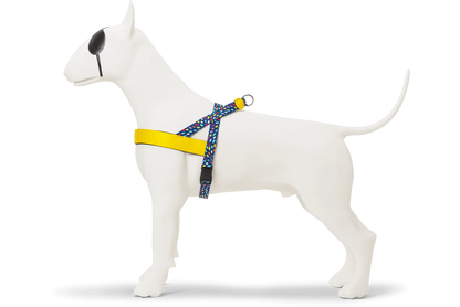 Pettorina norvegese Color Invaders per cani, indossata su cane finto, di Morso by Orme Differenti