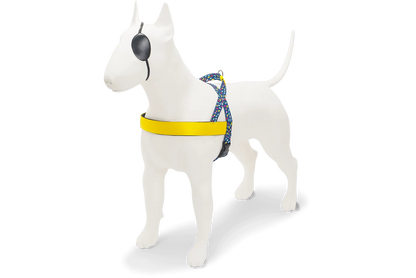 Pettorina norvegese Color Invaders per cani, realizzata in raso, morbida, made in Italy di Morso by Orme Differenti