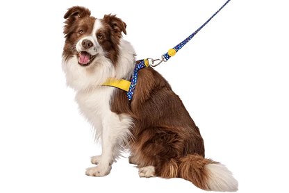 Pettorina norvegese Color Invaders per cani, realizzata in raso, artigianale, di Morso by Orme Differenti