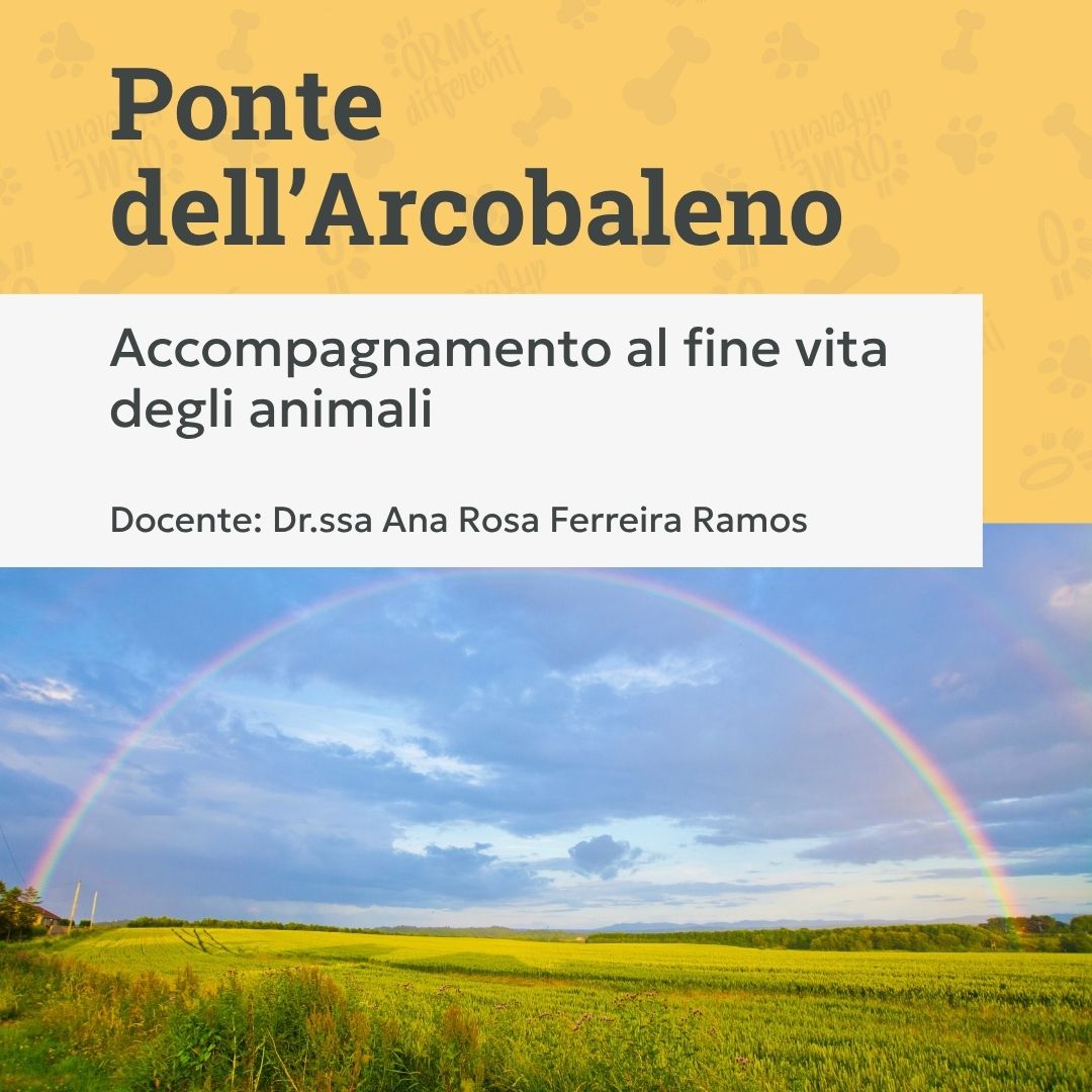 ponte dell'arcobaleno, accompagnamento al fine vita degli animali, orme differenti