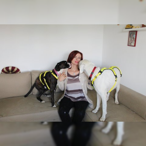 Servizio di Pet Sitting a Torino, daniela larivei con due cani boxer, orme differenti